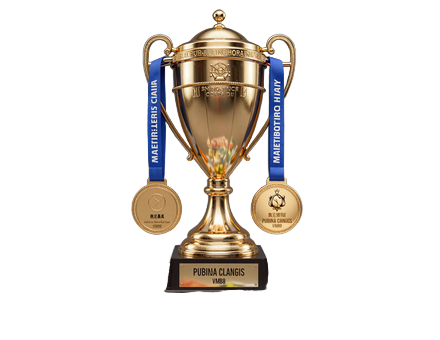 Goldene Troph&auml;e mit Lime-Medaille und Fu&szlig;ball-Legenden-Sammelkarten aus dem Golazzo Cups-System